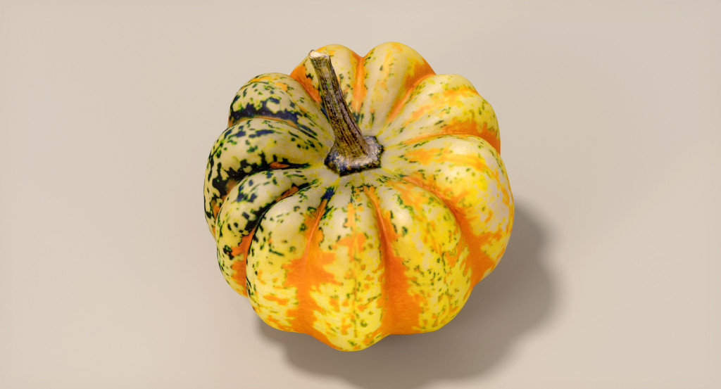 squash_carnival_ts_images_v001_00001