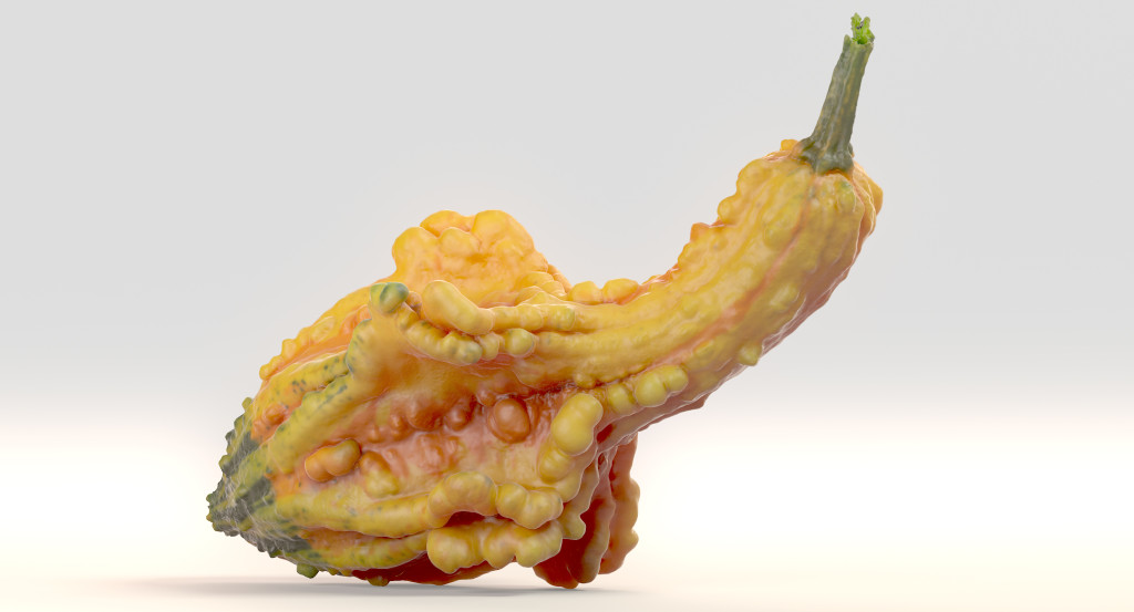 squash_crookneck_ts_images_v004_00006