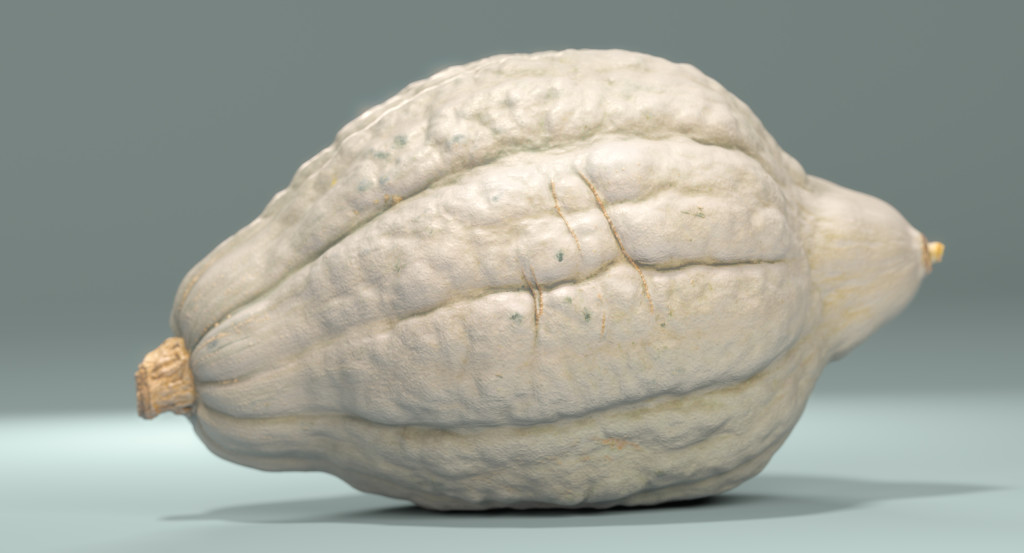 squash_hubbard_ts_images_v001_00000