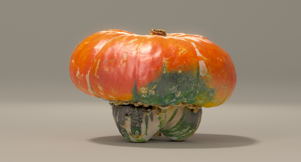 squash_turban_ts_images_v001_00000